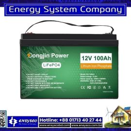 Dongjin Power DJDC LifePO4 12V 100Ah Lithium Battery