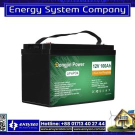 Dongjin Power DJDC LifePO4 12V 100Ah Lithium Battery