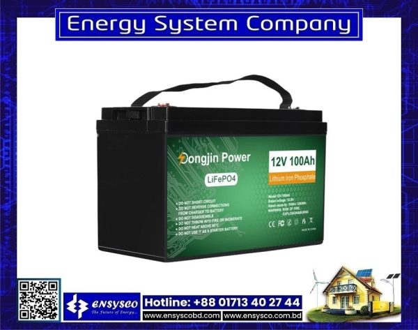 Dongjin Power DJDC LifePO4 12V 100Ah Lithium Battery