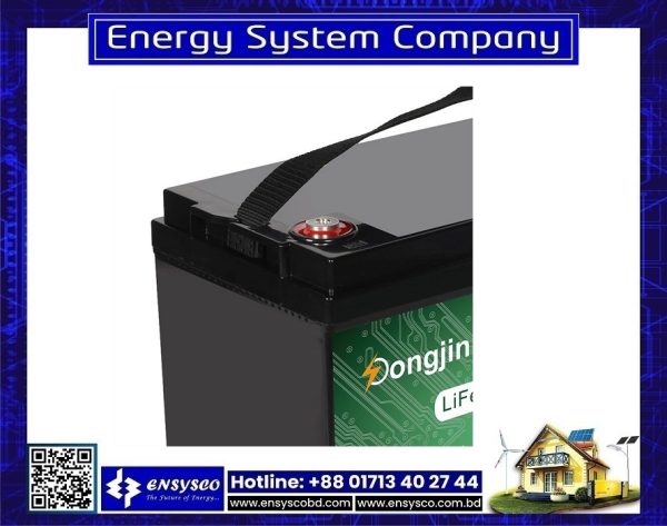 Dongjin Power DJDC LifePO4 12V 100Ah Lithium Battery